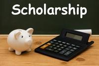 scholarship-pig_0