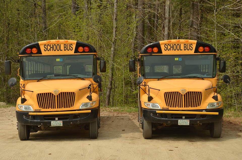 front of two school busses 